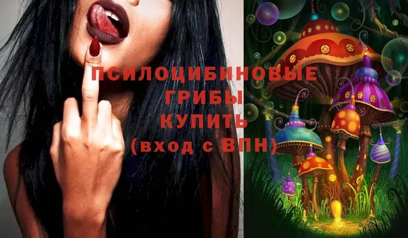 Галлюциногенные грибы Magic Shrooms  Козловка 